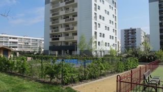 Un enjeu majeur de la ville durable est la bonne connaissance des sols. ©Valérie Vidril